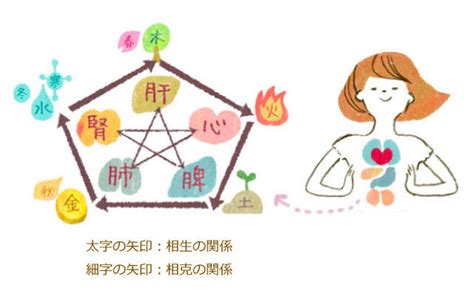 五行美人|体質別美容法（五行美人づくり） 